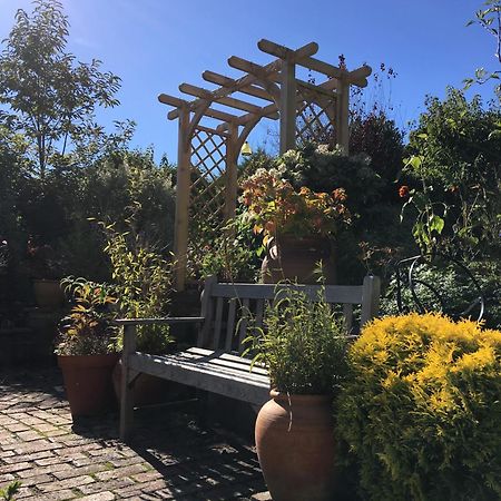 Anne'S House Bed & Breakfast Hastings Eksteriør bilde